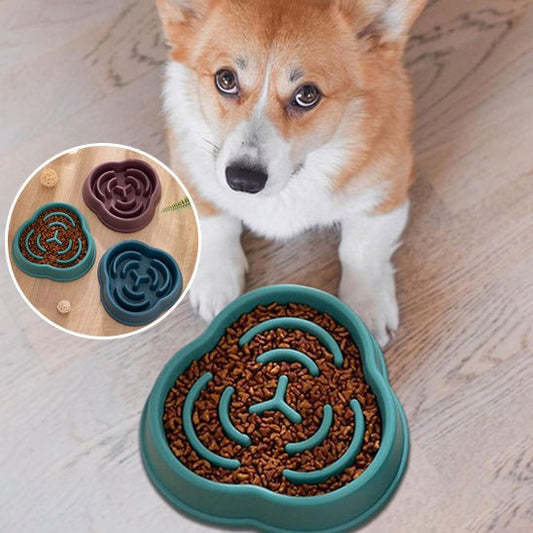 gamelle-anti-glouton-gourdbowl-bleu-brun-vert-chien