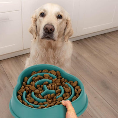 Gamelle anti glouton gourdbowl chien bleu