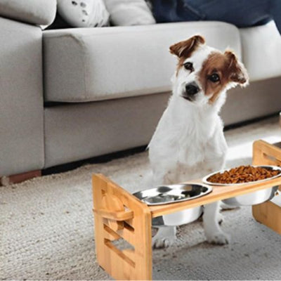 Gamelle chien Bow blanc assis chien