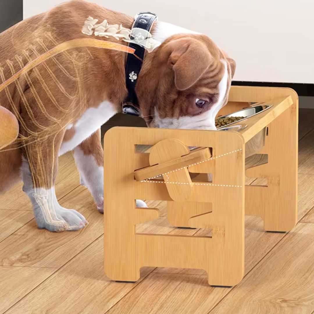 gamelle-chien-bowl-la-posture