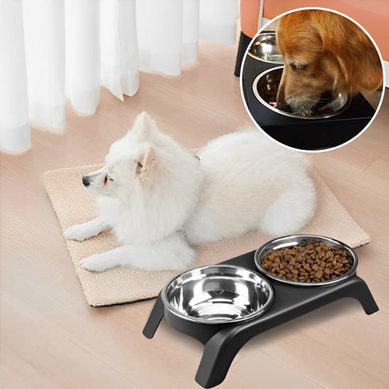 Gamelle chien - Dish™ - Chien trop content