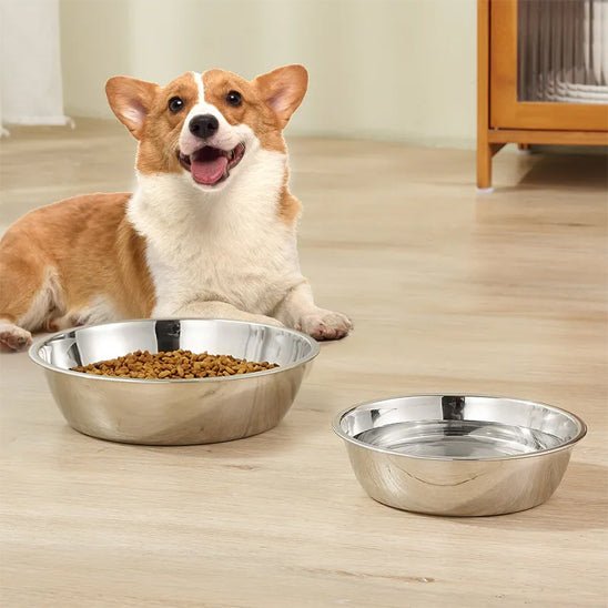 gamelle-chien-dogbowl-chien-brun-blanc