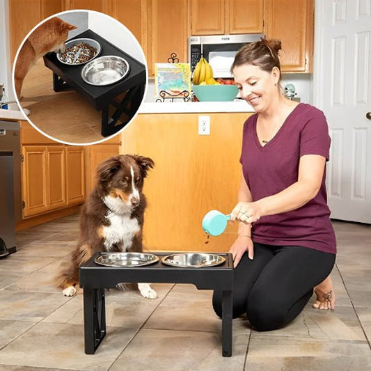 gamelle-chien-dogdish-regarde-maitre-chien