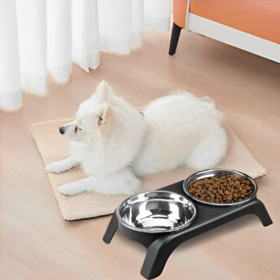 Gamelle chien regarde personne