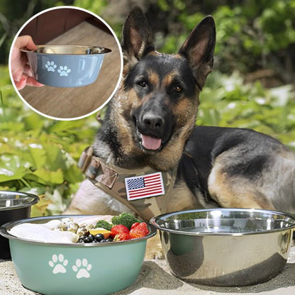 gamelle-pour-chien-dogbowl-coucher-regarde-chien