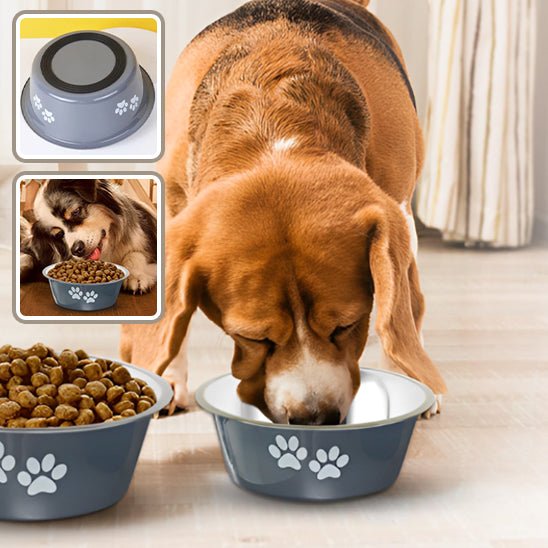 gamelle-pour-chien-dogbowl-debout-d-eau-chien