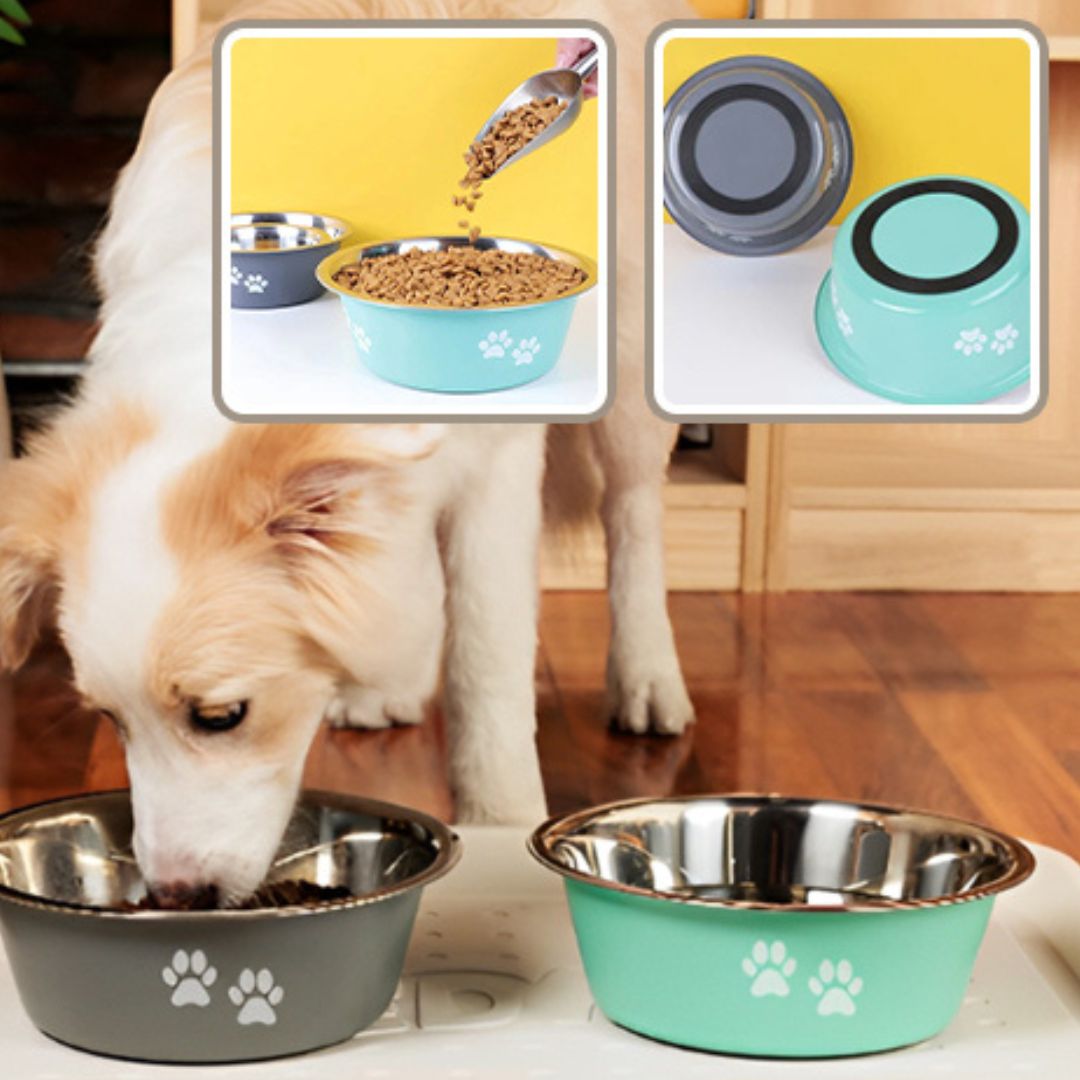 gamelle-pour-chien-dogbowl-mange-brun-chien