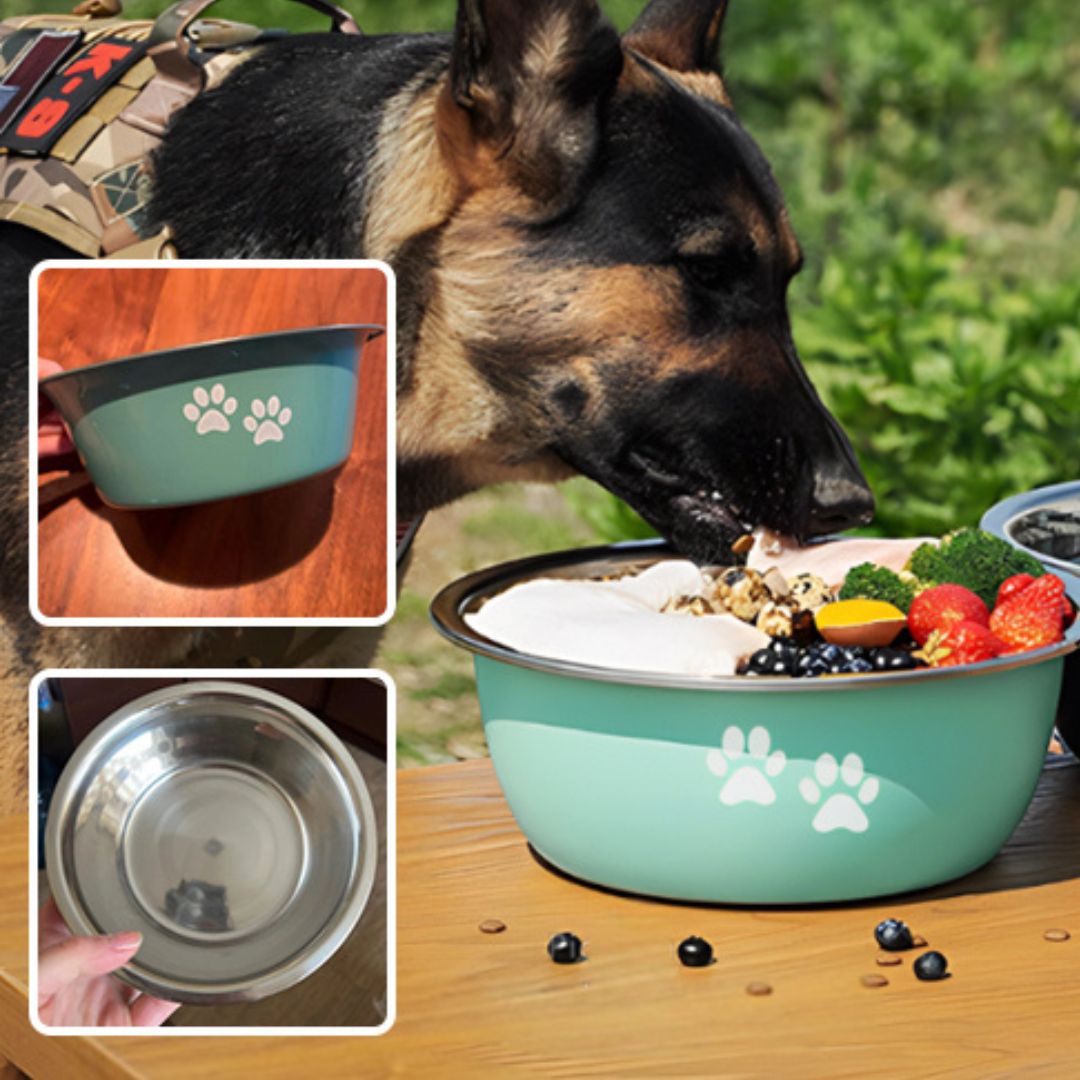 gamelle-pour-chien-dogbowl-mange-noir-chien