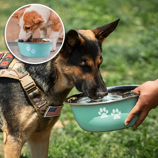 gamelle-pour-chien-dogbowl-noir-boire-chien