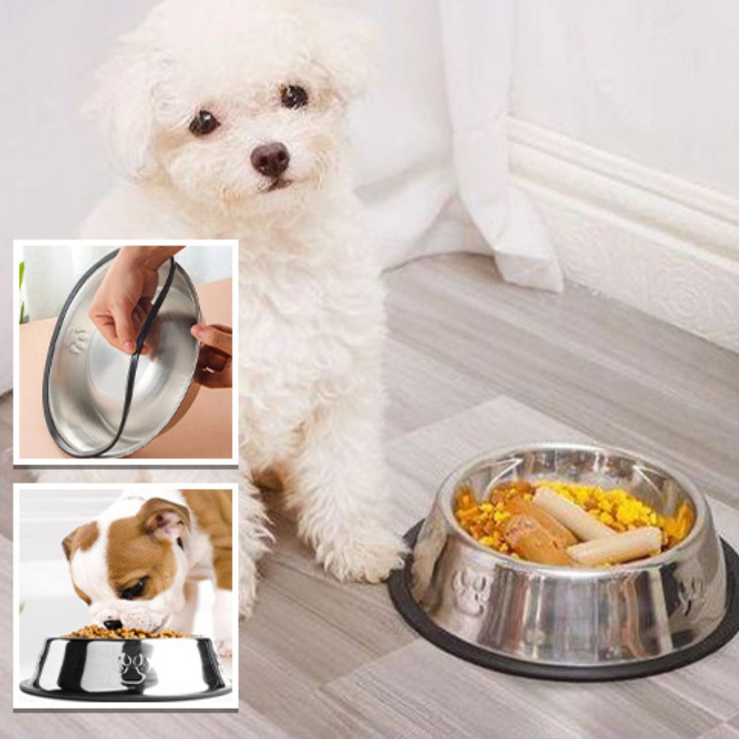gamelle-pour-chien-dogfood-assis-chien