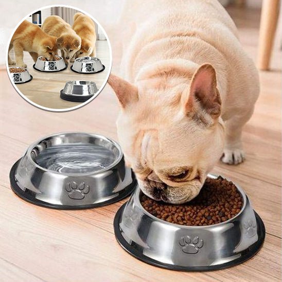 gamelle-pour-chien-dogfood-debout-brun-chien