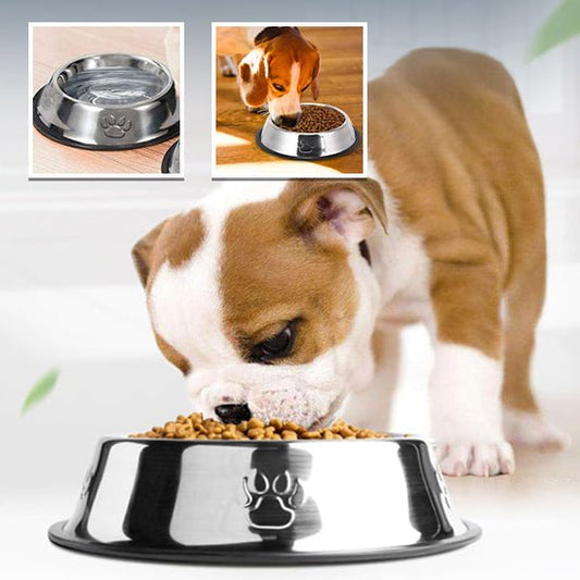 gamelle-pour-chien-dogfood-debout-mange-chien