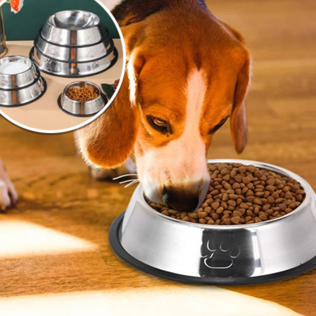 gamelle-pour-chien-dogfood-manger-bol-chien