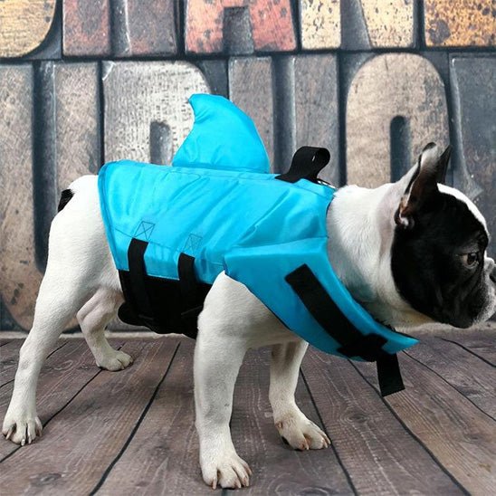 gilet-de-sauvetage-chien-dog-chien-bleu-blanc