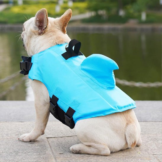 gilet-de-sauvetage-chien-dog-chien-bleu