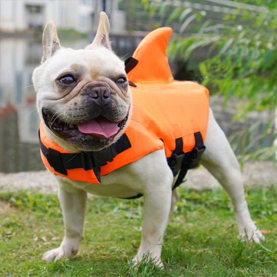 gilet-de-sauvetage-chien-dog-chien-orange