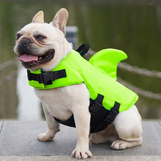 gilet-de-sauvetage-chien-dog-chien-vert