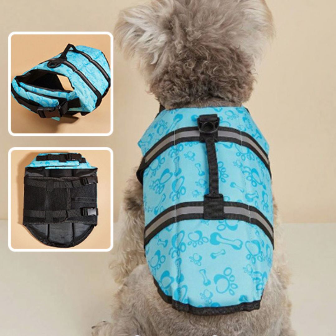 gilet-de-sauvetage-chien-doglife-bleu