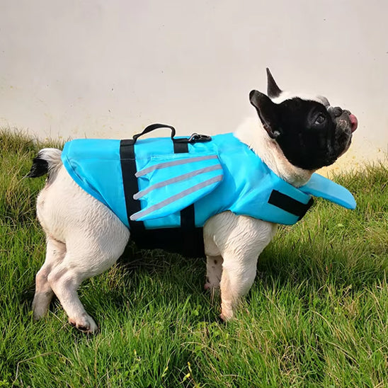 gilet-de-sauvetage-pour-chien-life-bleu-debout-blanc