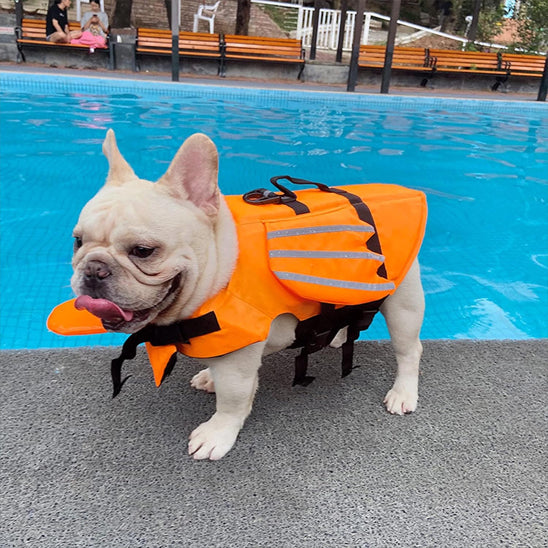 gilet-de-sauvetage-pour-chien-life-orange-debout