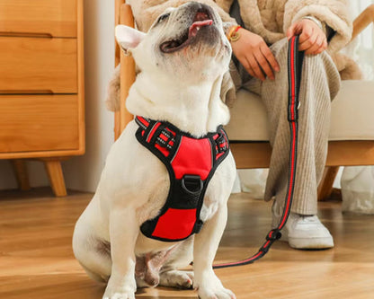 harnais-anti-traction-chien-antipull-chien-assis-harnais-rouge-chien