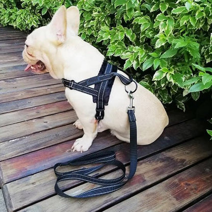 harnais-anti-traction-chien-antitensile-noir-blanc-chien