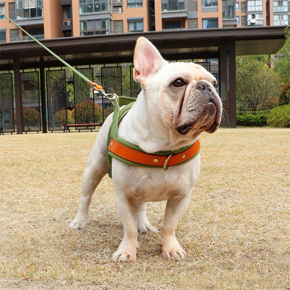 harnais-anti-traction-chien-nopull-devant-marcher-chien