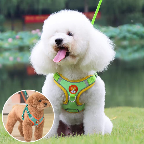 harnais-anti-traction-chien-pull-assis-harnais-vert