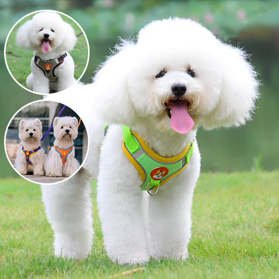 harnais-anti-traction-chien-pull-harnais-vert-avec-quatre-chiens