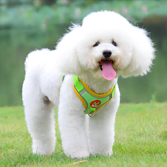 harnais-anti-traction-pull-vert-blanc-debout-chien