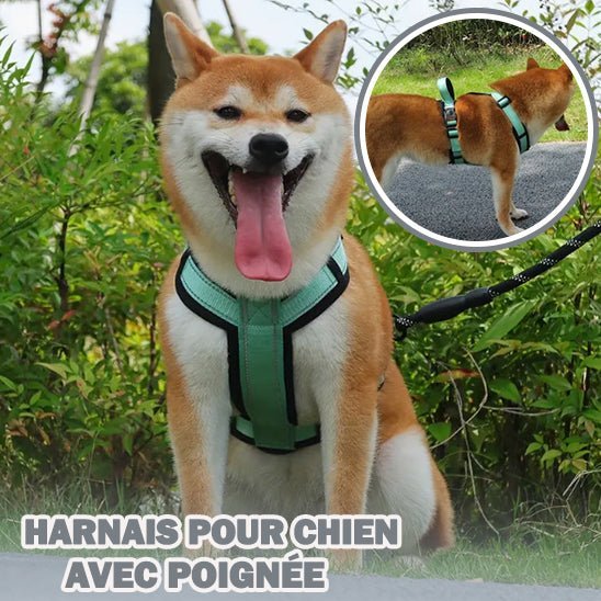 Harnais avec poignée - Harnesses™ - Chien trop content