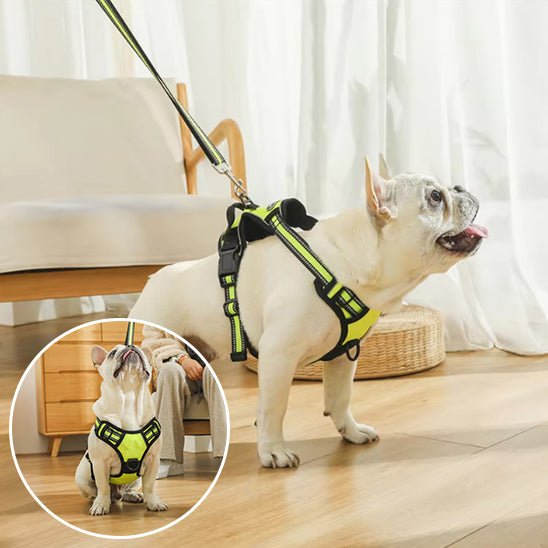 harnais-chien-anti-traction-antipull-vert-blanc-chien