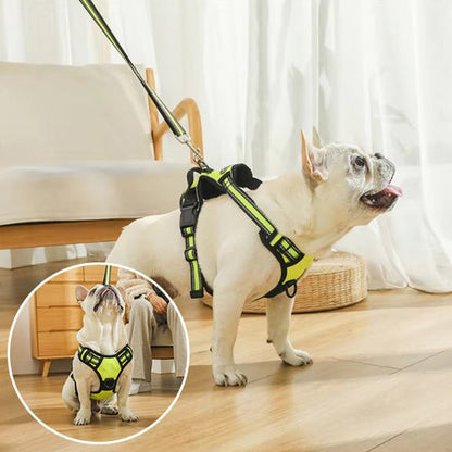 harnais-chien-anti-traction-antipull-vert-blanc-chien