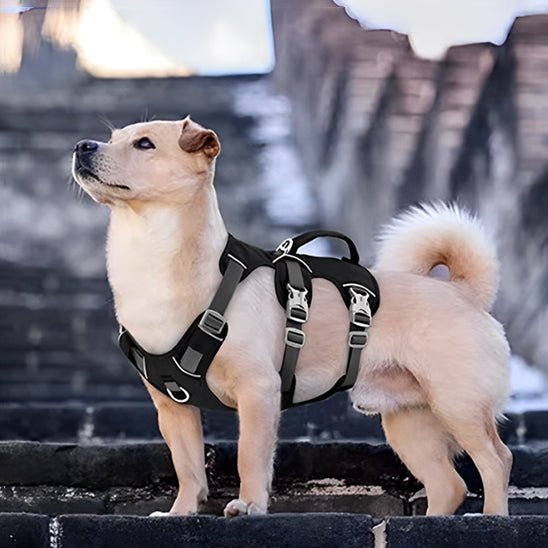 harnais-chien-anti-traction-harnaisja-noir-blanc-chien