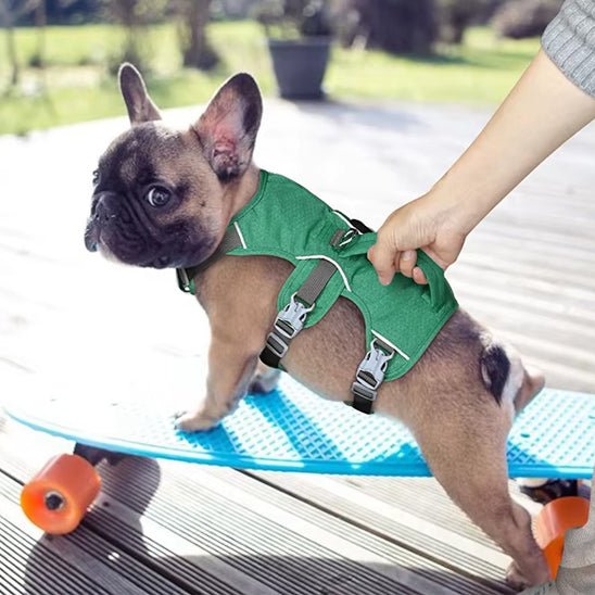 harnais-chien-anti-traction-harnaisja-noir-vert-chien