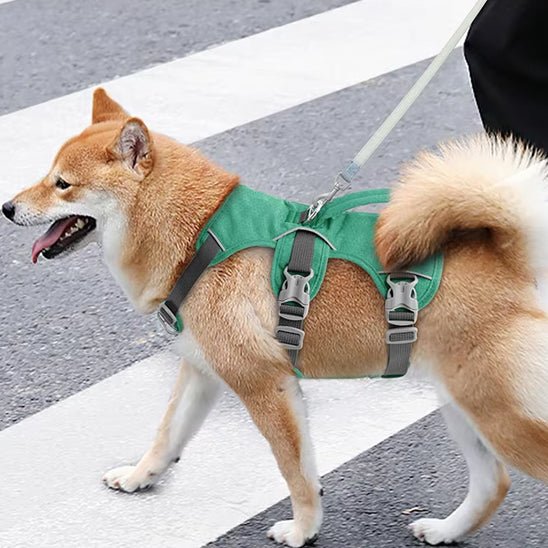 harnais-chien-anti-traction-harnaisja-vert-brun-chien