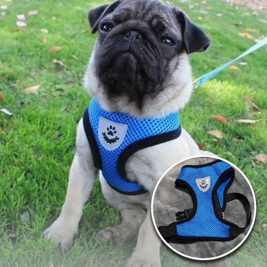 harnais-chien-harness-bleu-blanc-noir-chien