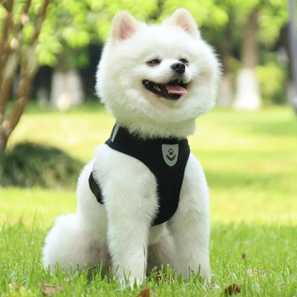harnais-chien-harness-noir-blanc-chien