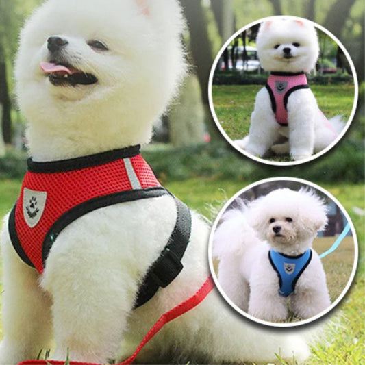 harnais-chien-harness-rouge-bleu-rose-chien