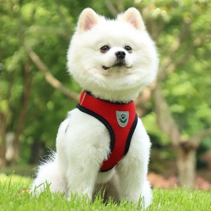 harnais-chien-harness-rouge-chien
