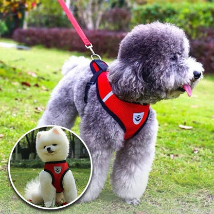 harnais-chien-harness-rouge-gris-chien