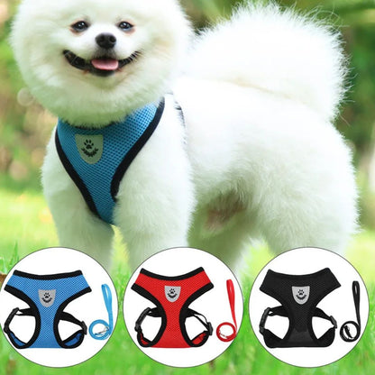 harnais-chien-harness-trois-couleurs-chien