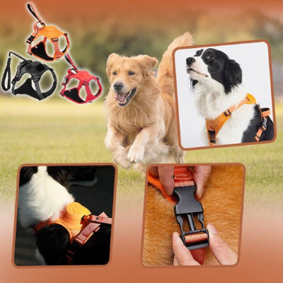 Harnais chien harnesses noir, rouge orange course