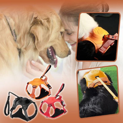 Harnais chien harnesses trois couleurs chiens