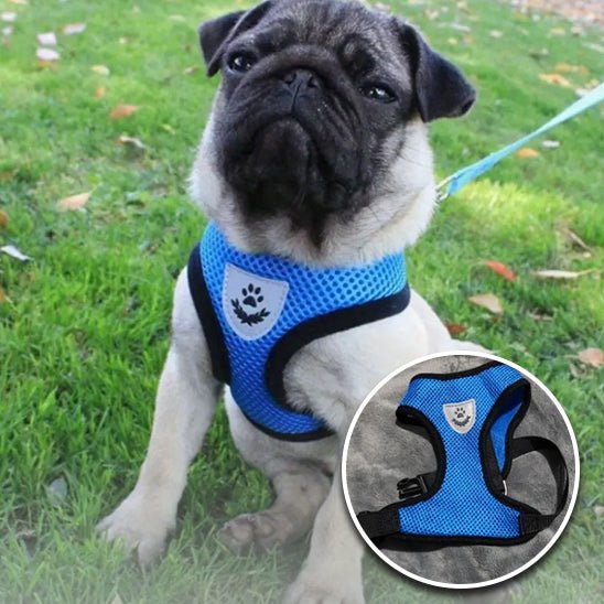 Harnais en maille et laisse - Mesh - harnesses™ - Chien trop content