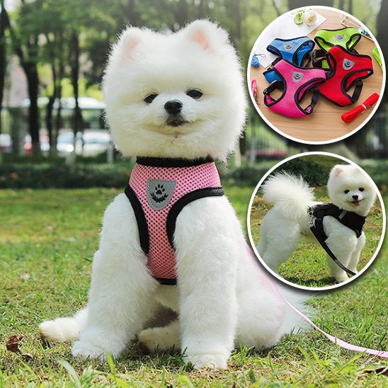 Harnais en maille et laisse - Mesh - harnesses™ - Chien trop content