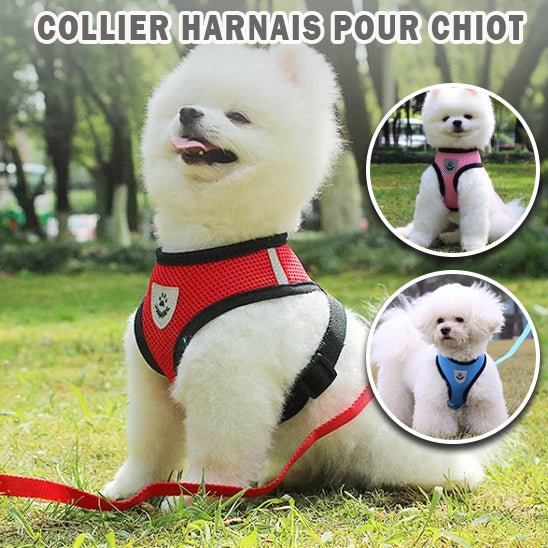 Harnais en maille et laisse - Mesh - harnesses™ - Chien trop content