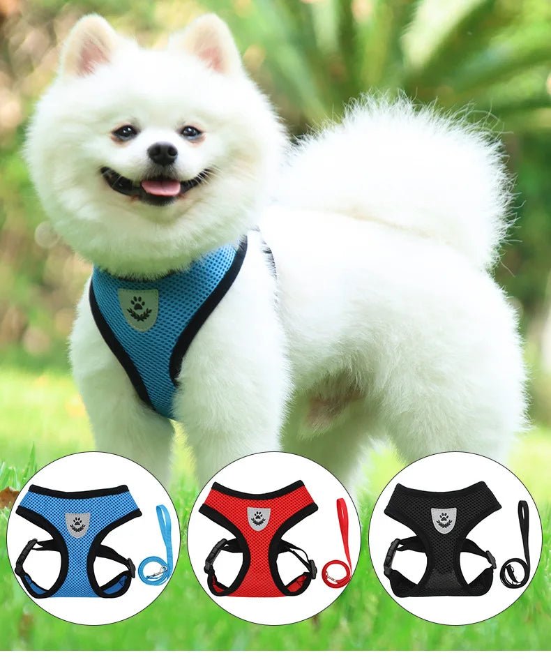 Harnais en maille et laisse - Mesh - harnesses™ - Chien trop content