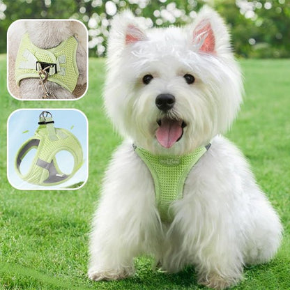 harnais-petit-chien-harnaislucky-blanc-creme-vert-chien