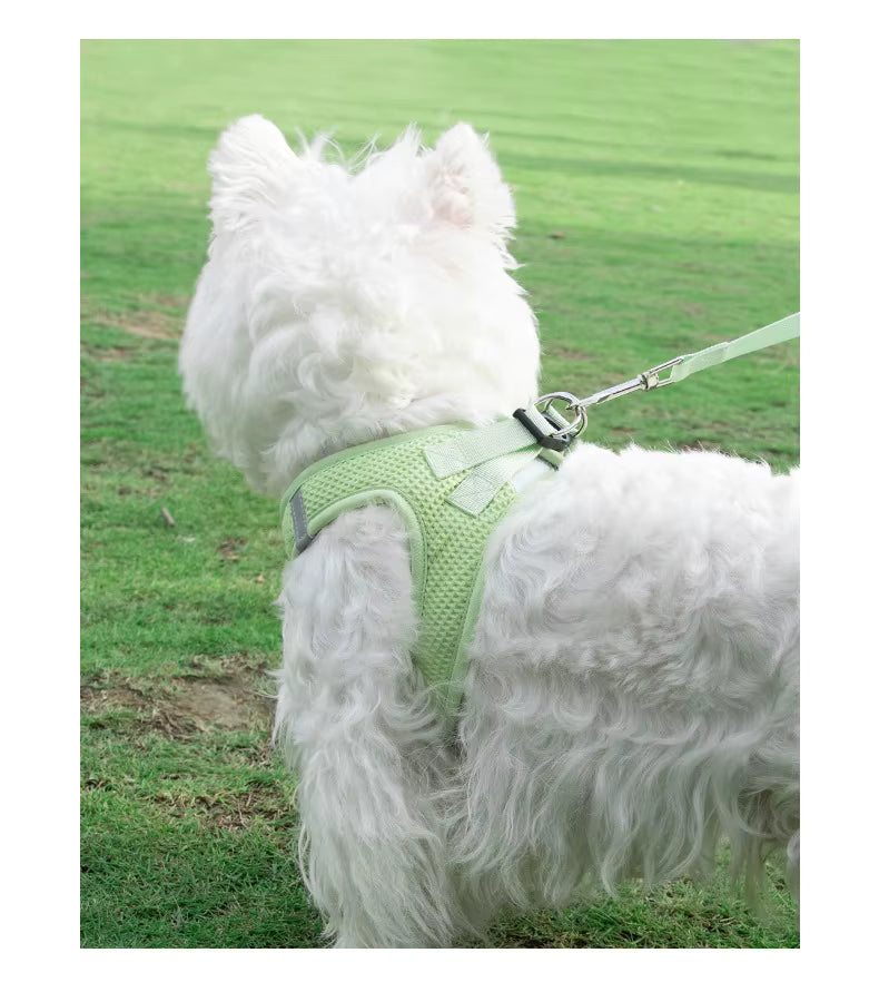 harnais-petit-chien-harnaislucky-vert-arrete-chien